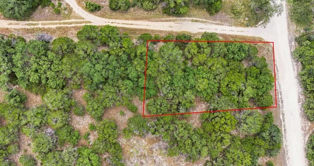 136  Angus Trl, Spring Branch, TX 78070 — photo 12