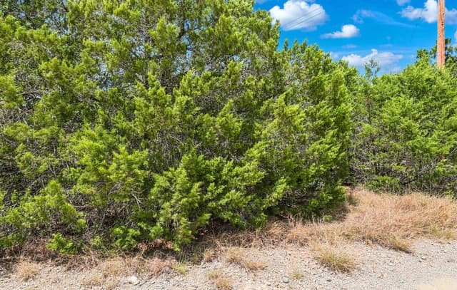 136  Angus Trl, Spring Branch, TX 78070 — photo 16