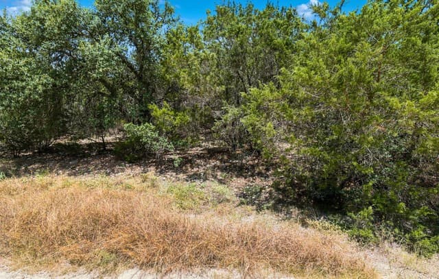 136  Angus Trl, Spring Branch, TX 78070 — photo 17