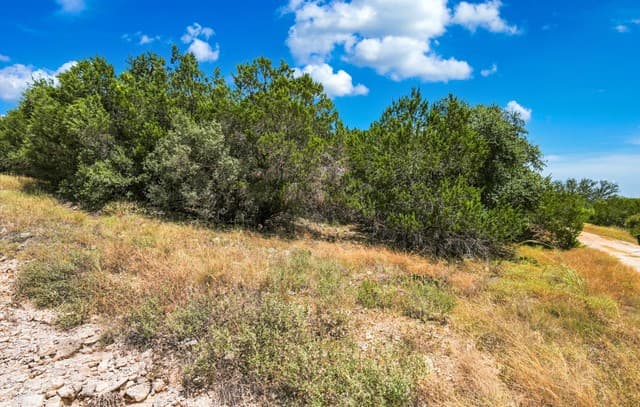 136  Angus Trl, Spring Branch, TX 78070 — photo 18