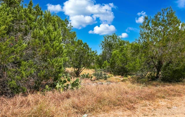 136  Angus Trl, Spring Branch, TX 78070 — photo 19