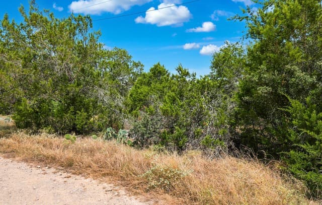 136  Angus Trl, Spring Branch, TX 78070 — photo 20