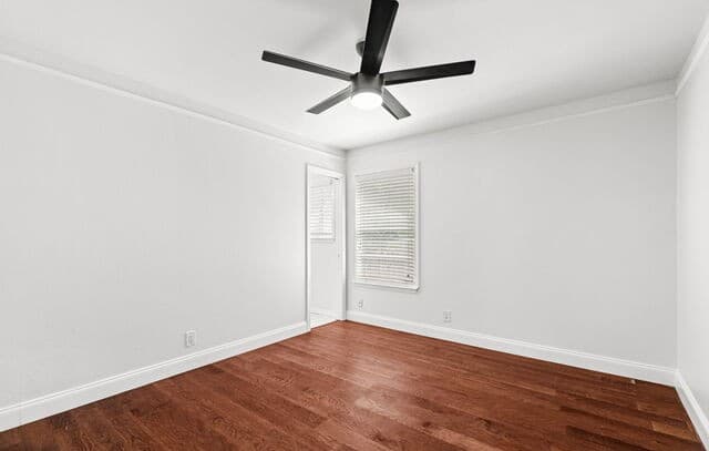 210  Fantasia St, San Antonio, TX 78216 — photo 16