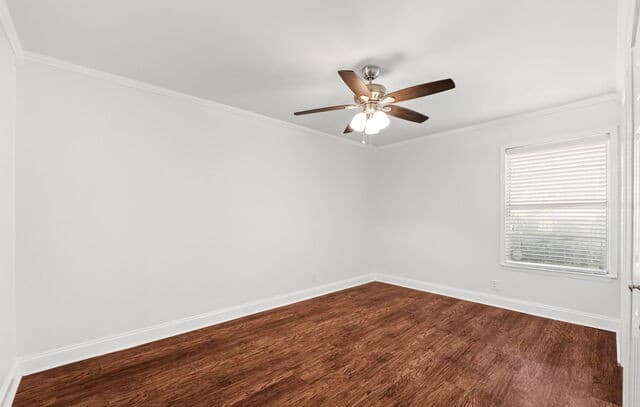 210  Fantasia St, San Antonio, TX 78216 — photo 18