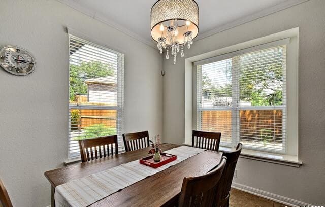 20510  Ashmont, San Antonio, TX 78258 — photo 15