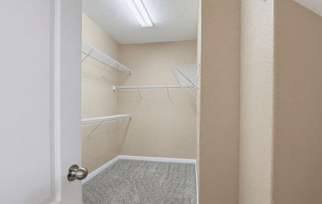 22862  Allegro Creek, San Antonio, TX 78261 — photo 16
