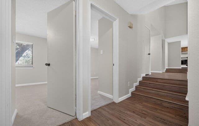 5006  Timber Rise, San Antonio, TX 78250 — photo 19