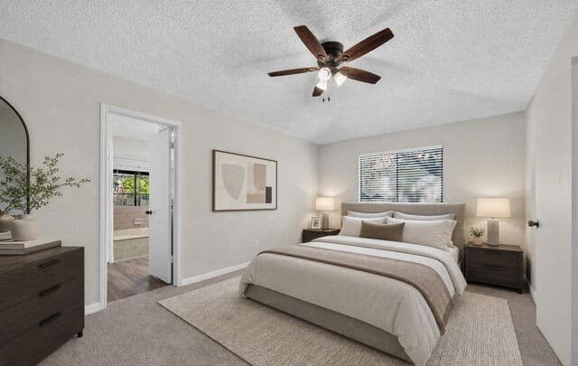 5006  Timber Rise, San Antonio, TX 78250 — photo 21
