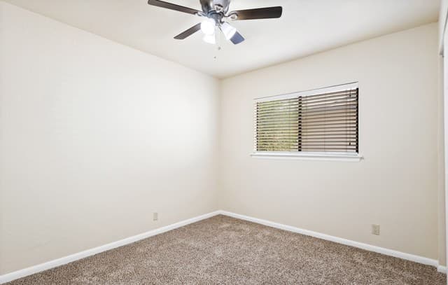 4907  Dare Ln, San Antonio, TX 78217 — photo 21