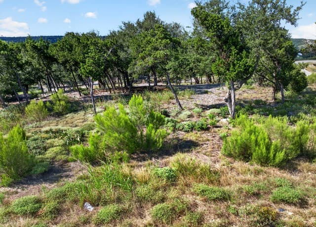 1466  Chianti, New Braunfels, TX 78132 — photo 20