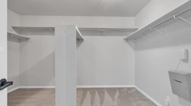 24510  Brazos Stage, San Antonio, TX 78255 — photo 17