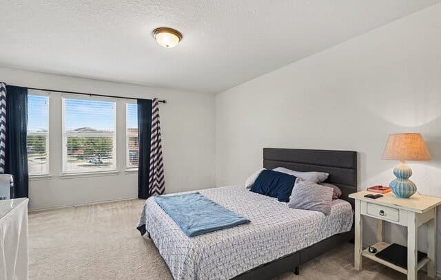 7602  Palomino Cv, San Antonio, TX 78244 — photo 12