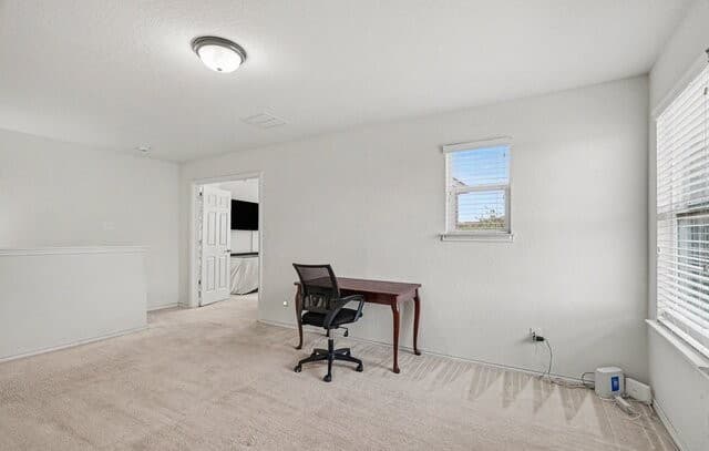 7602  Palomino Cv, San Antonio, TX 78244 — photo 18
