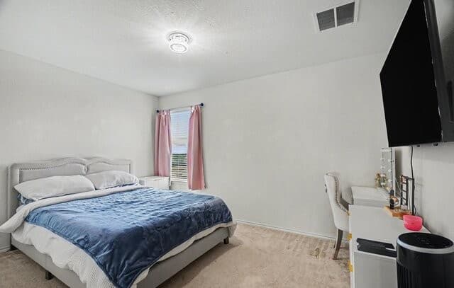 7602  Palomino Cv, San Antonio, TX 78244 — photo 20