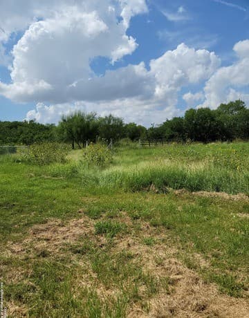 2519  Hicks Ave Lot 17, San Antonio, TX 78210 — photo 4