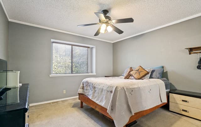 14934  Ben Ali, San Antonio, TX 78248 — photo 17