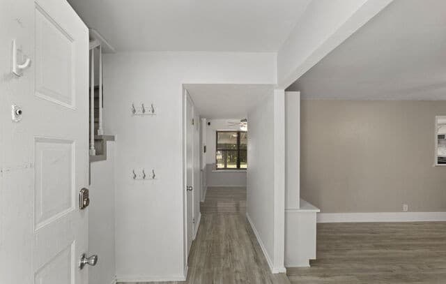 8719  Timberwick St, San Antonio, TX 78250 — photo 3
