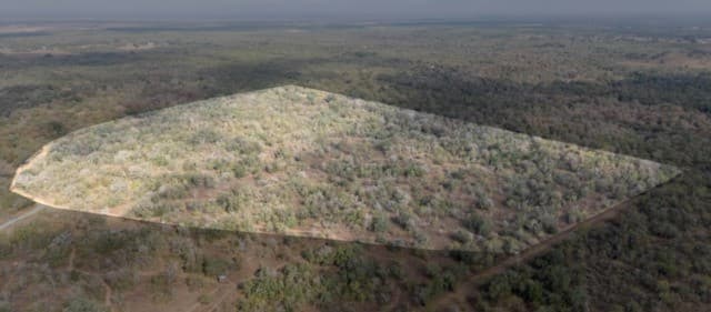 TBD  Pr 2221, Nixon, TX 78140 — photo 2