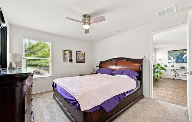 1110  Western Whipbird, San Antonio, TX 78253 — photo 18