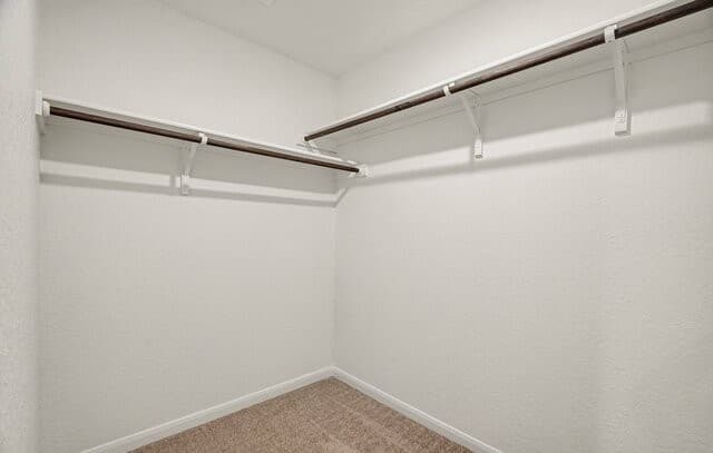 9978  Sarrebourg St, Schertz, TX 78154 — photo 11