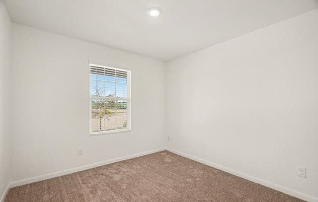 9978  Sarrebourg St, Schertz, TX 78154 — photo 12