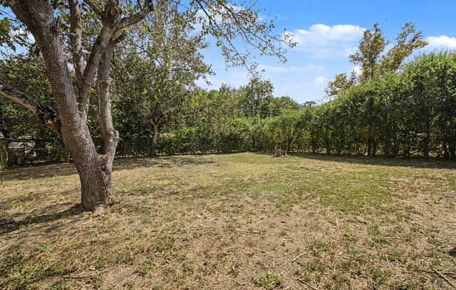 804  Aviation Ave, Schertz, TX 78154 — photo 17