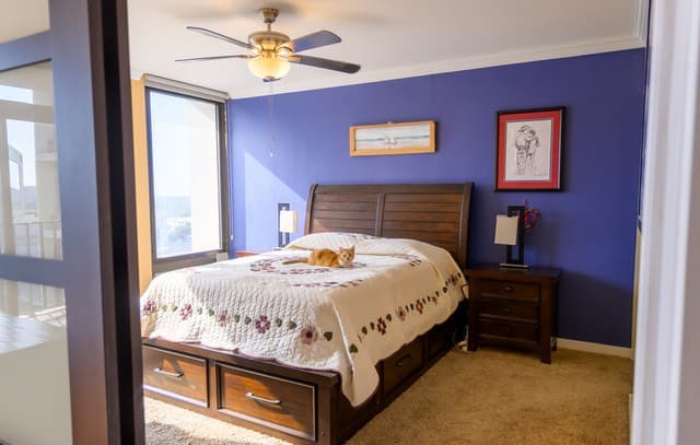 7701 Wurzbach Rd Unit 1801, San Antonio, TX 78229 — photo 5