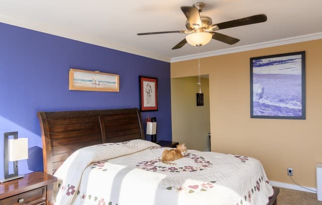 7701 Wurzbach Rd Unit 1801, San Antonio, TX 78229 — photo 8