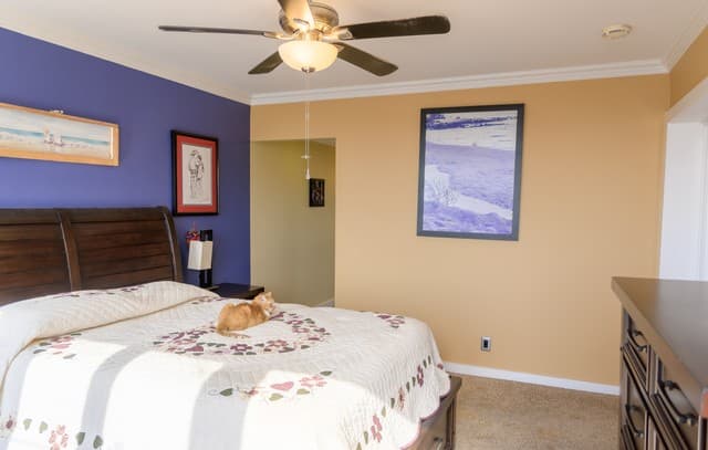 7701 Wurzbach Rd Unit 1801, San Antonio, TX 78229 — photo 9