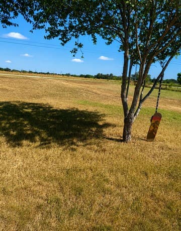 4410  County Road 334, Stockdale, TX 78160 — photo 4
