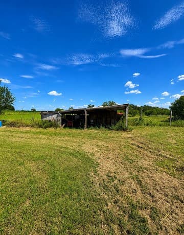 4410  County Road 334, Stockdale, TX 78160 — photo 6