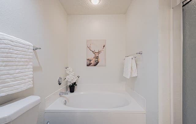 21914  Kenton Croft, San Antonio, TX 78258 — photo 16