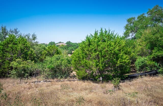 1324  Pinot Grigio, New Braunfels, TX 78132 — photo 4