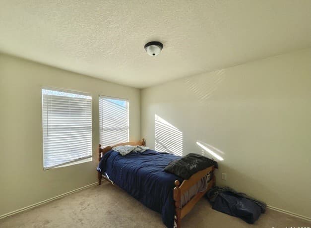 910  Absolon Farm, San Antonio, TX 78228 — photo 12