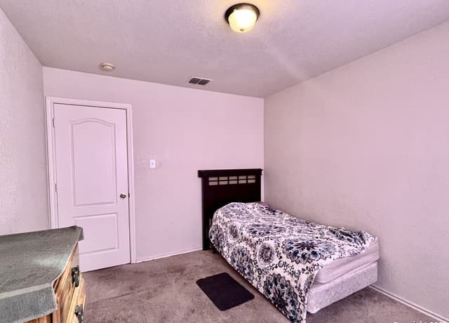 910  Absolon Farm, San Antonio, TX 78228 — photo 13