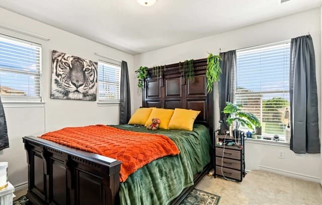 2409  Cotton Forrest, San Antonio, TX 78244 — photo 13