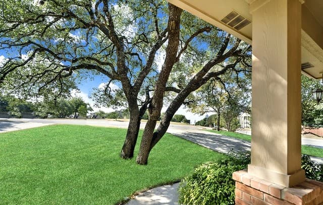 20826  Panoramic Ct, San Antonio, TX 78258 — photo 2