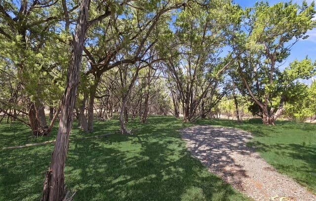 133  Canyon Lake Dr, Bandera, TX 78003 — photo 6