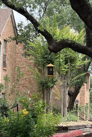 4212 Medical Dr Unit 608, San Antonio, TX 78229 — photo 12