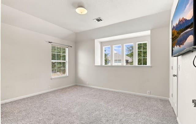 718  Desert Bluff, San Antonio, TX 78258 — photo 21