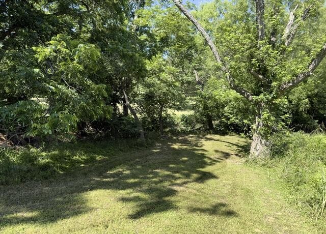866  Sea Willow Dr, Marion, TX 78124 — photo 23