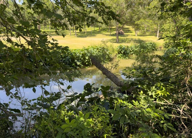 866  Sea Willow Dr, Marion, TX 78124 — photo 24
