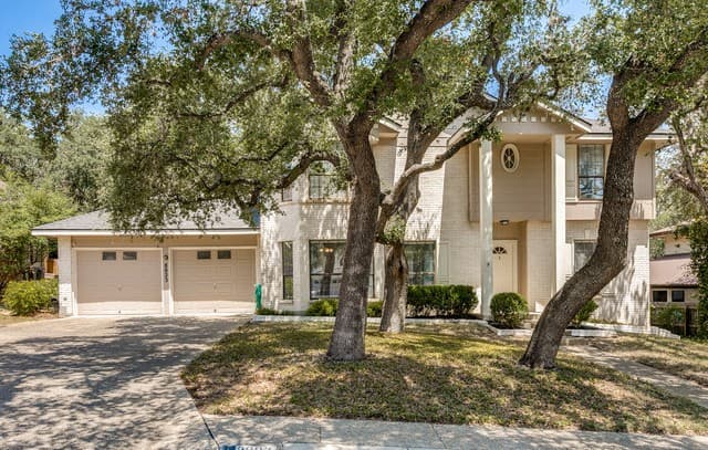 8823  Shade Tree