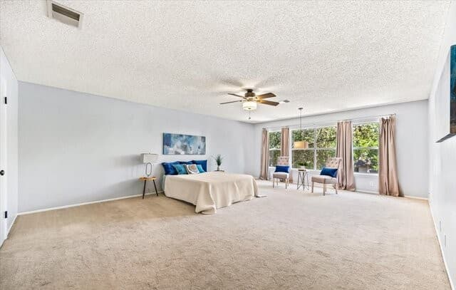 9578  Coolbrook, San Antonio, TX 78250 — photo 19