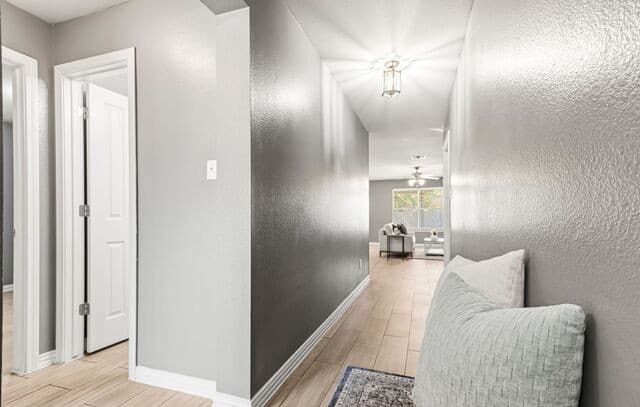 229  Hereford St, Cibolo, TX 78108 — photo 4