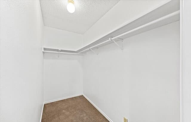 5006  Kenton Trce, San Antonio, TX 78240 — photo 18