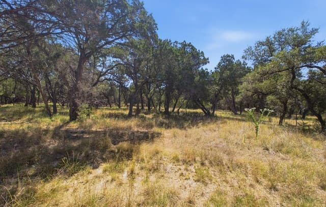 5943  Wharton's Dock Rd, Bandera, TX 78003 — photo 21