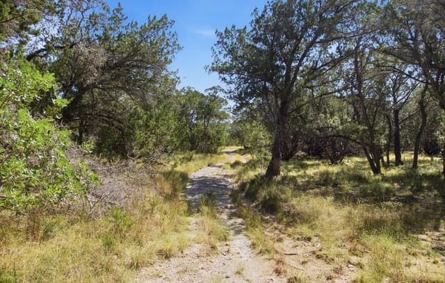 5943  Wharton's Dock Rd, Bandera, TX 78003 — photo 23