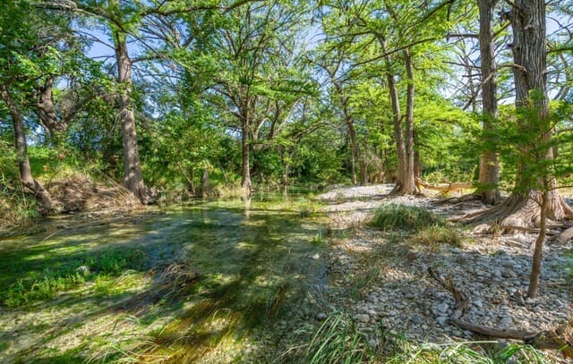 28  Private Road 3855, Utopia, TX 78884 — photo 8