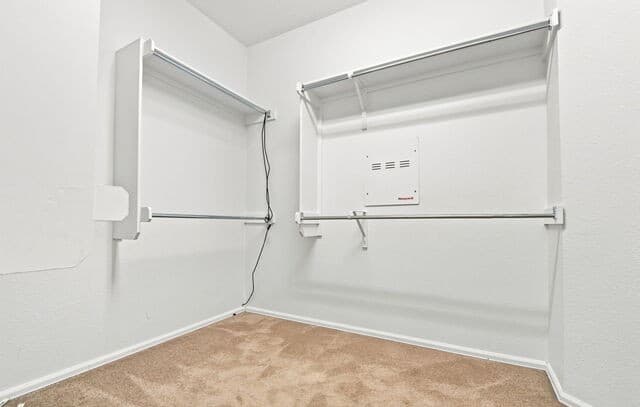 633  Cotton Patch, Schertz, TX 78154 — photo 19
